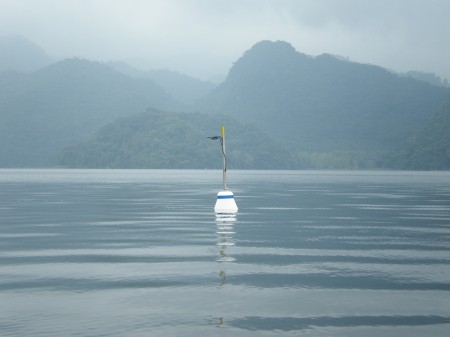 The LogDator Buoy, from Lindorm, Inc., in Lago de Yojoa, Honduras. The LogDator Buoy, from Lindorm, Inc., in Lago de Yojoa, Honduras.