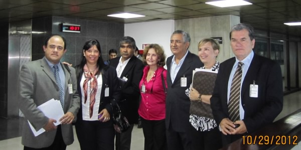 TSJ29oct2012 En TSJ