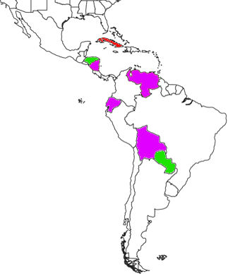 Dictatorships in the Americas